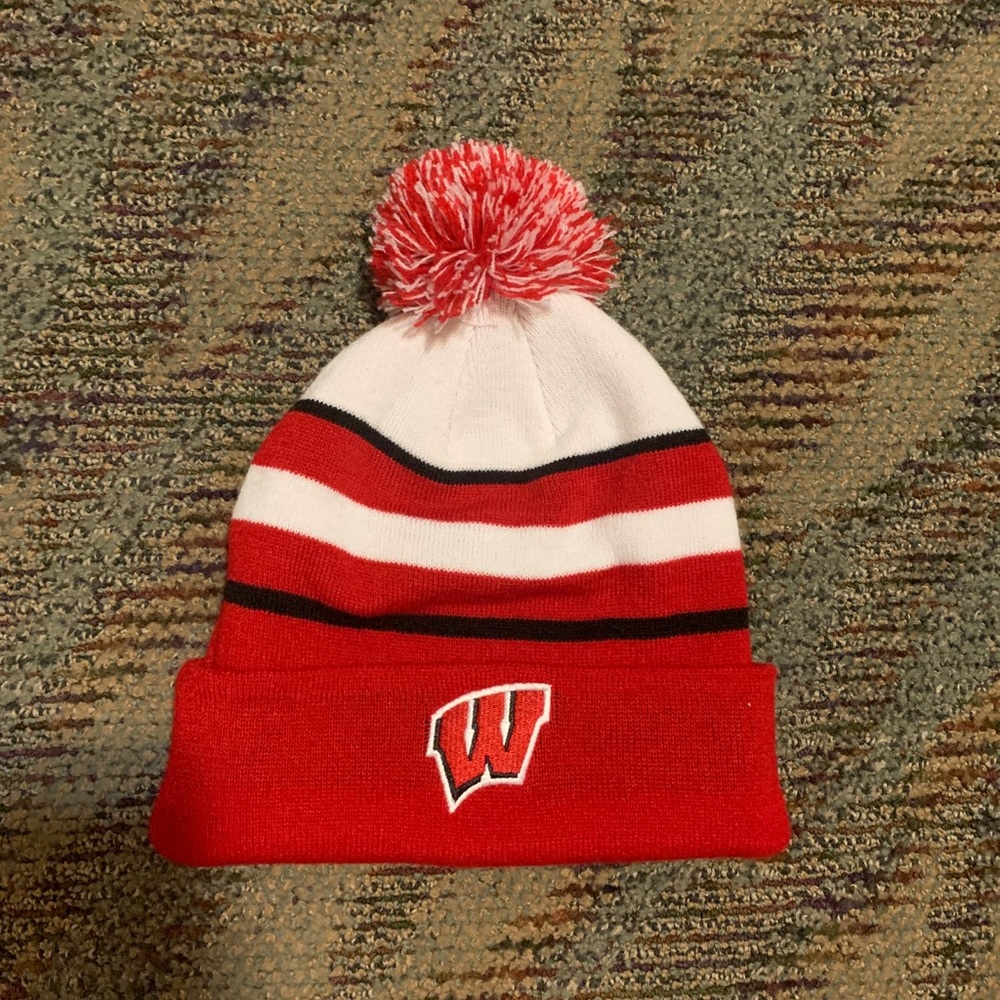Wisconsin badgers winter hat
